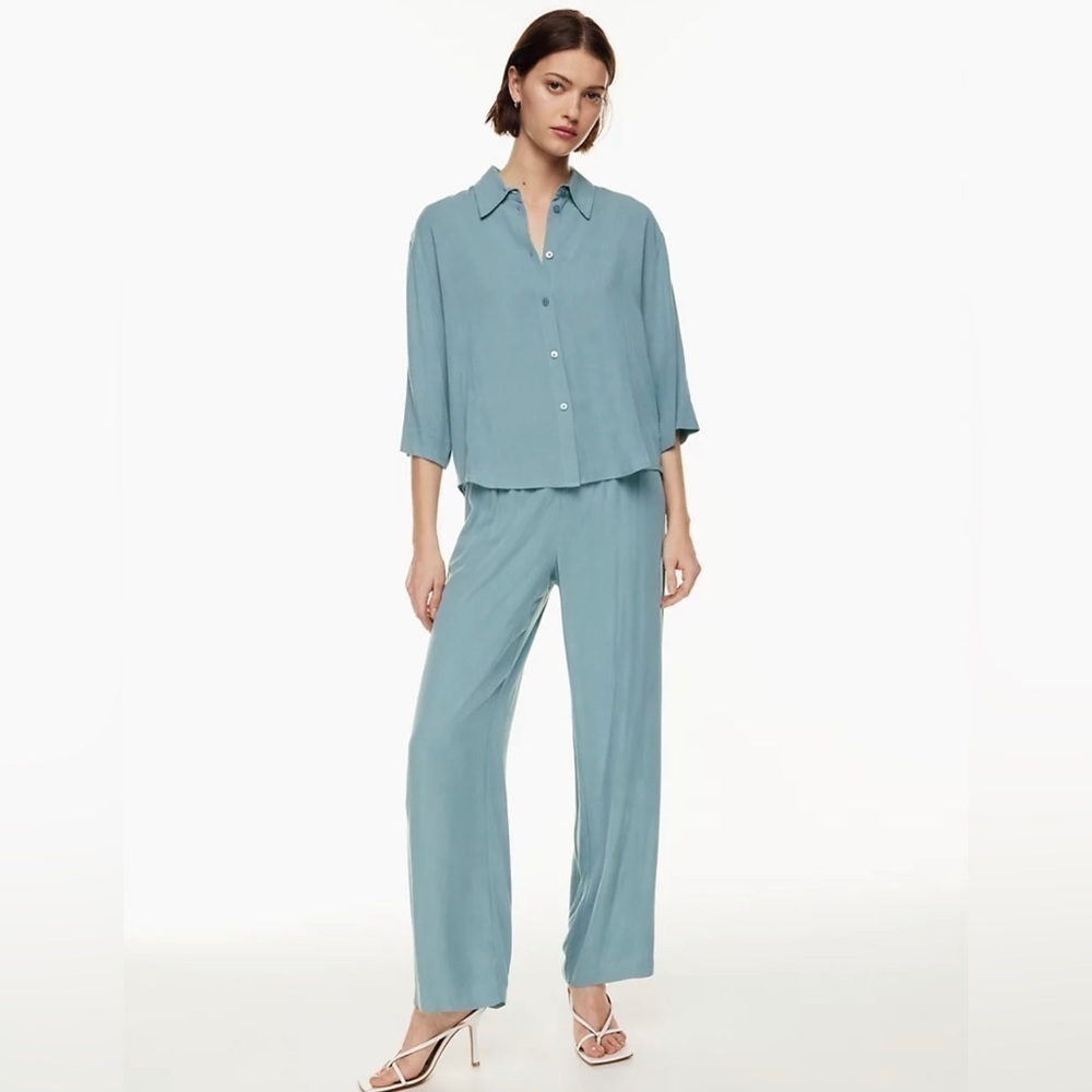 Aritzia Babaton Carrington Shirt